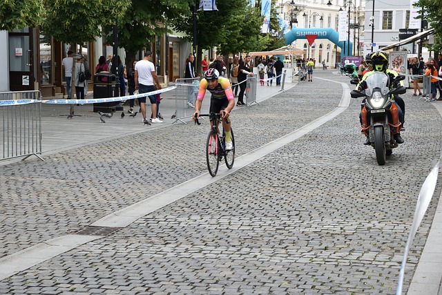 研究团队已 研究团队已