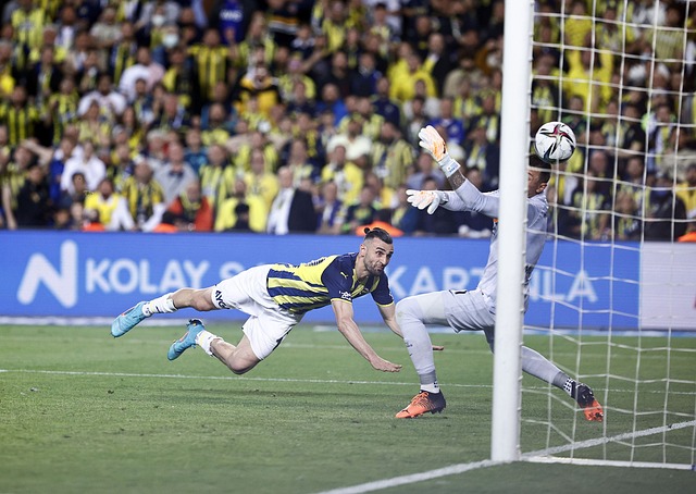 的技巧和才 的技巧和才