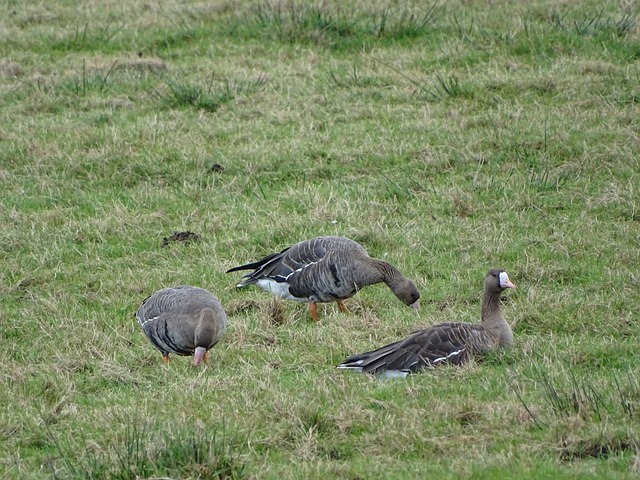 表现出了对 表现出了对