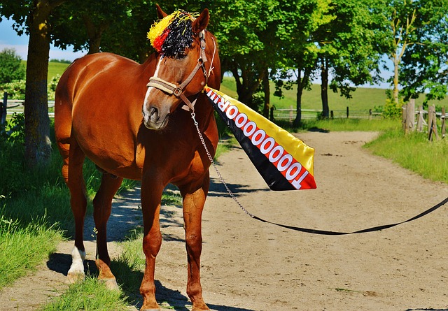 这是一门需 这是一门需