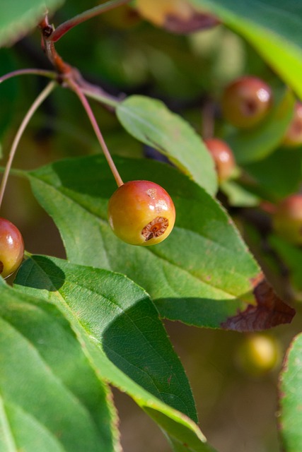 强全队防守 强全队防守
