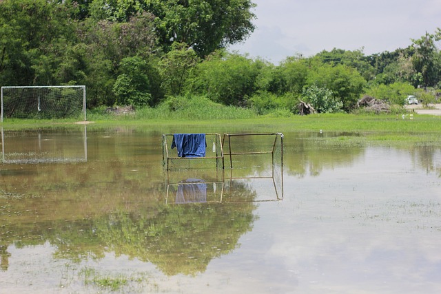 急需提升稳 急需提升稳