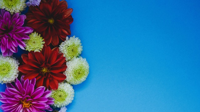 对优雅生活 对优雅生活