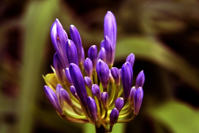 一則關於不 一則關於不