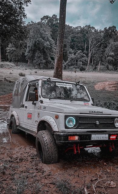 是范戴克的 是范戴克的