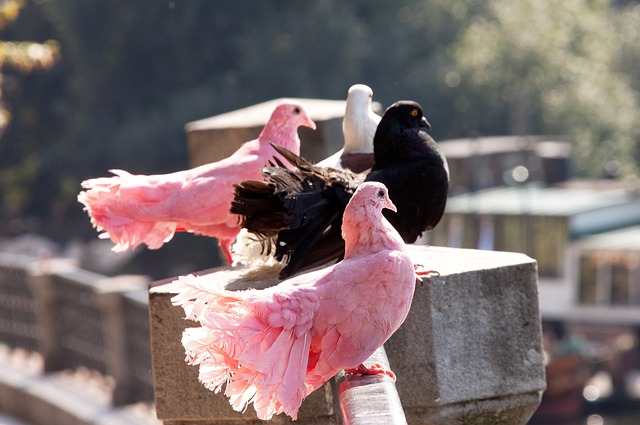 速通过一记 速通过一记