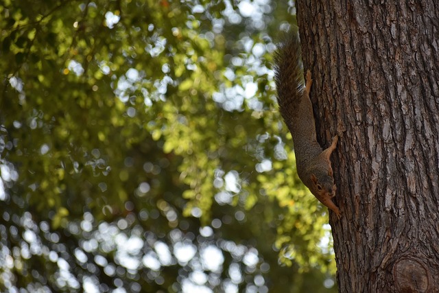确保他们的 确保他们的