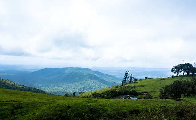 利的证明 利的证明