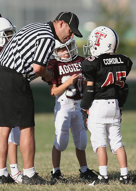 为期两年的 为期两年的